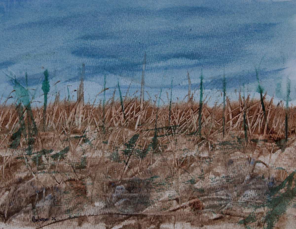 Stalks by Gregory Anderson 