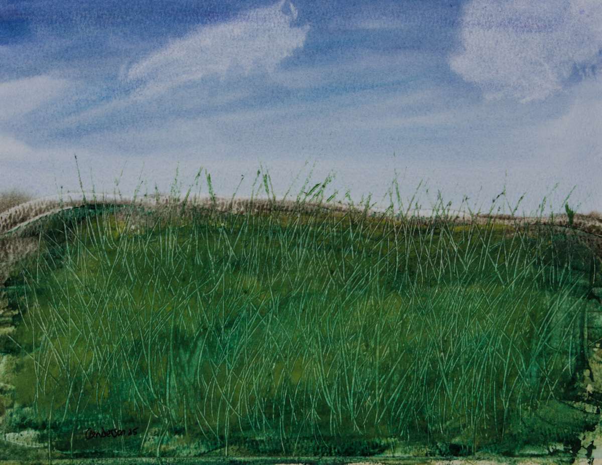 Grassy Hill by Gregory Anderson, Image 1.