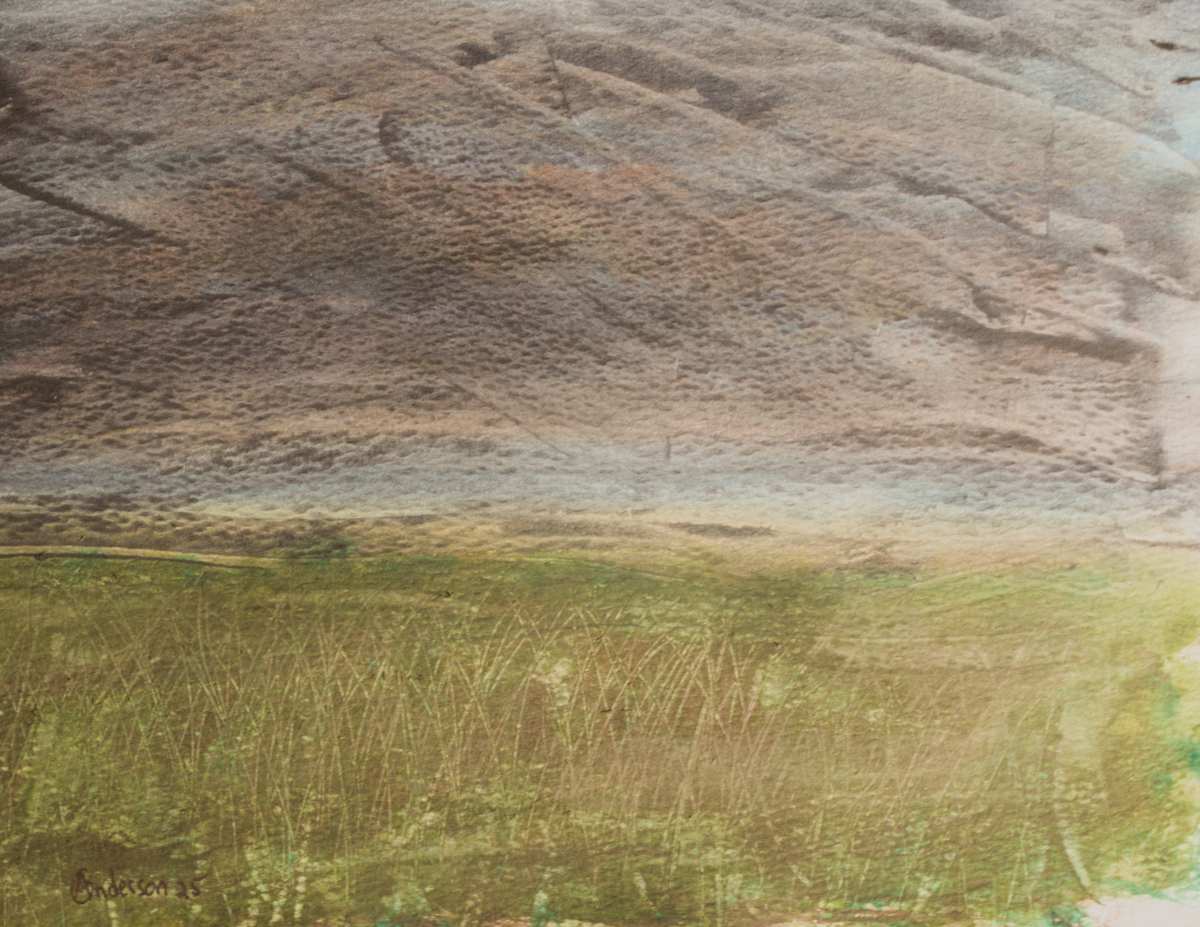 Grassy Field by Gregory Anderson 