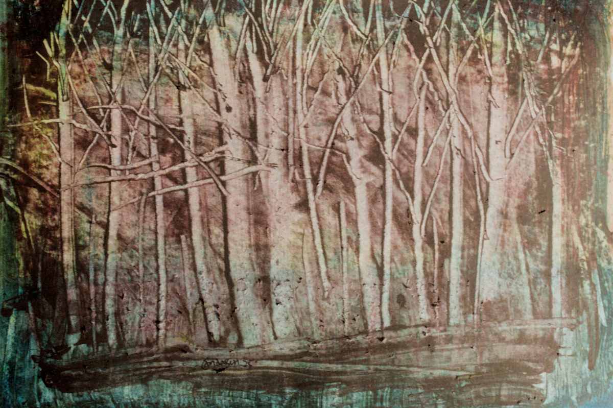 Night Woods by Gregory Anderson 