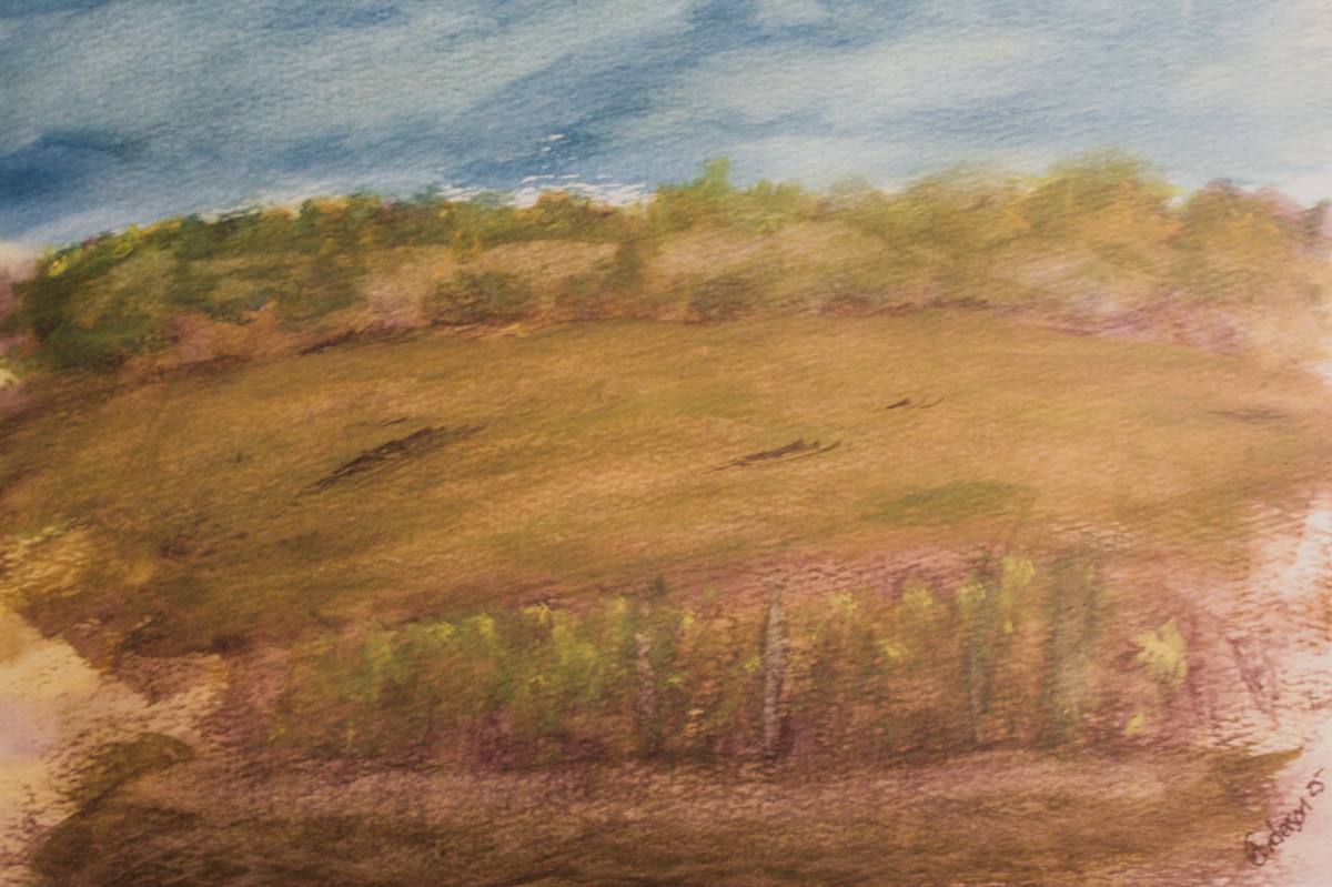 Another Field by Gregory Anderson 