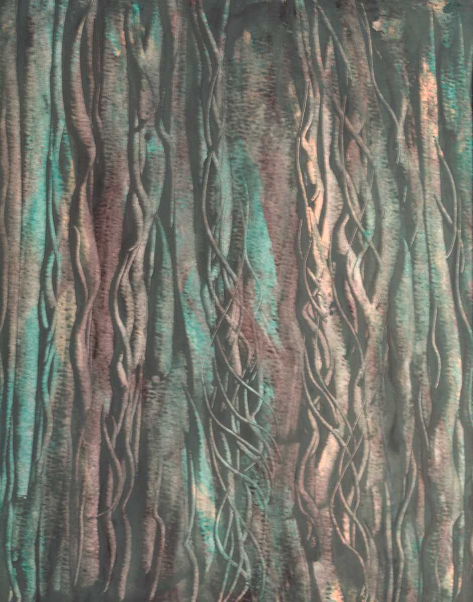 Vines by Gregory Anderson 