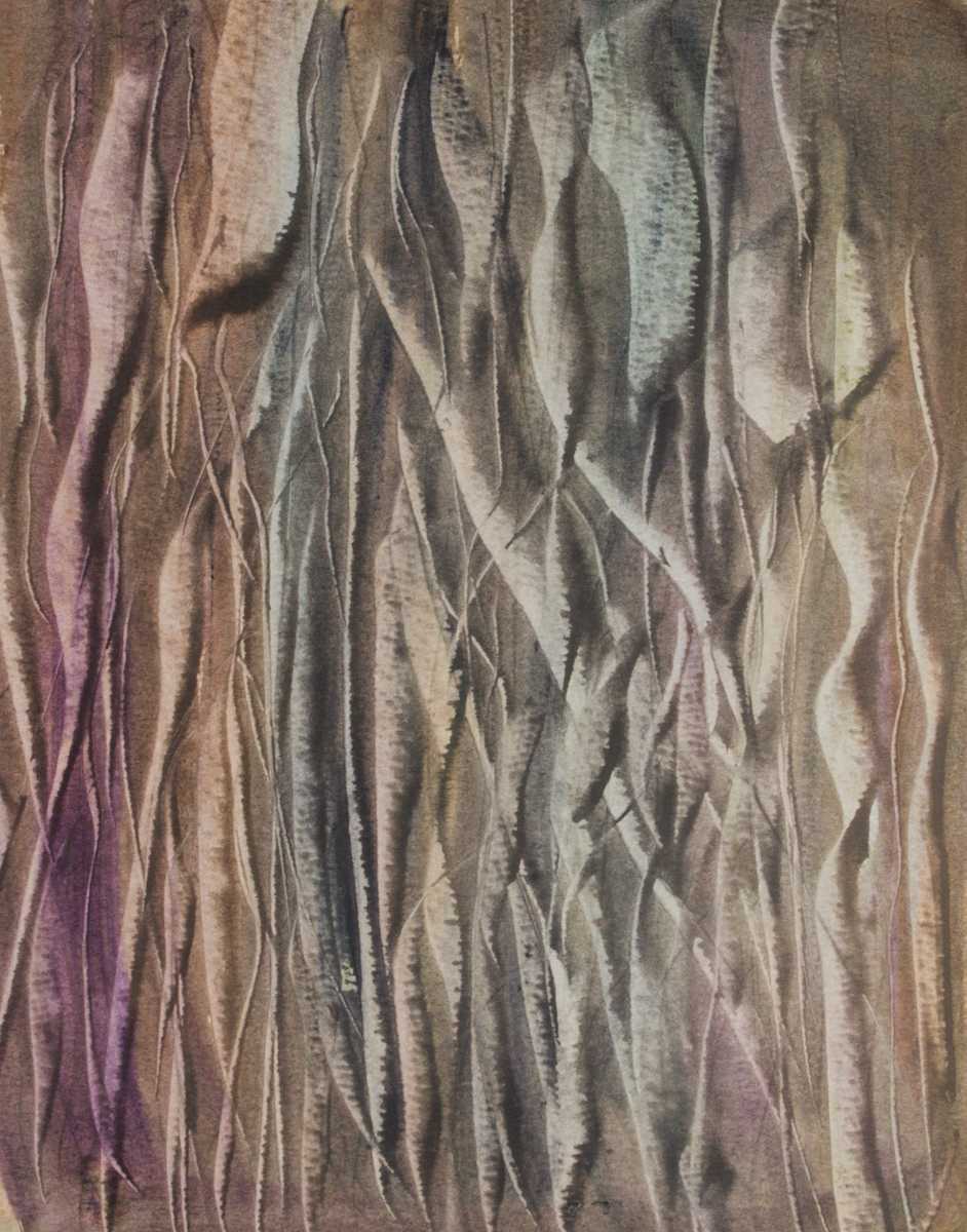 Shoots by Gregory Anderson 