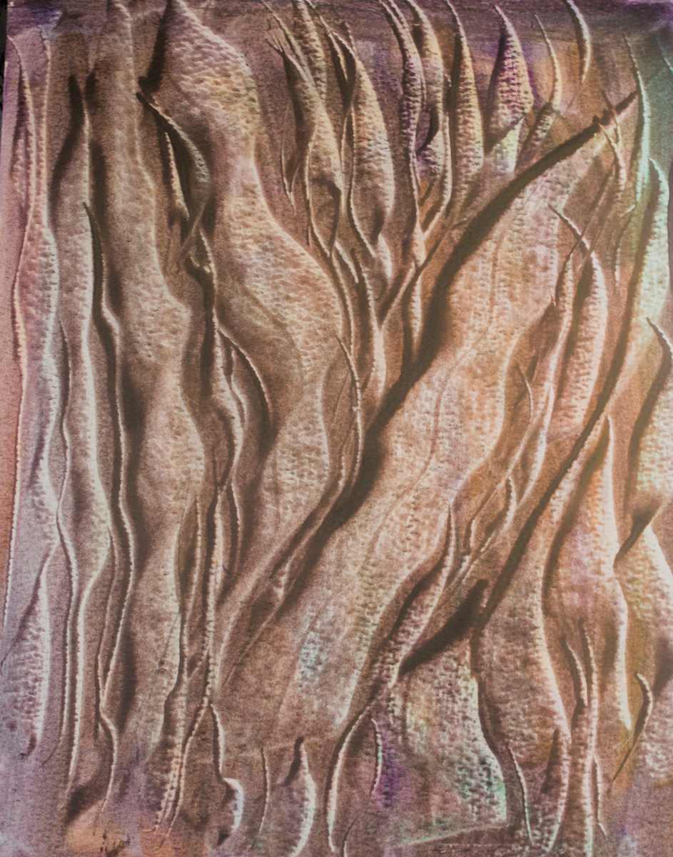 Buds by Gregory Anderson 