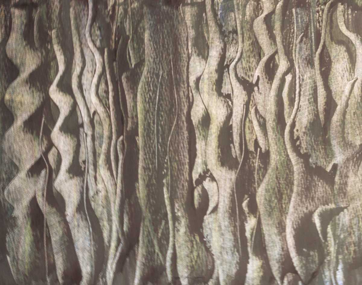 Brown Twirls by Gregory Anderson 