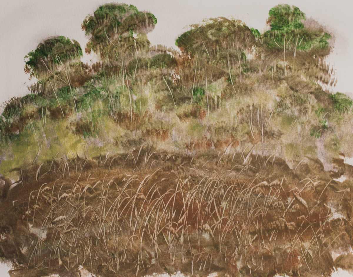 Hill Top by Gregory Anderson 