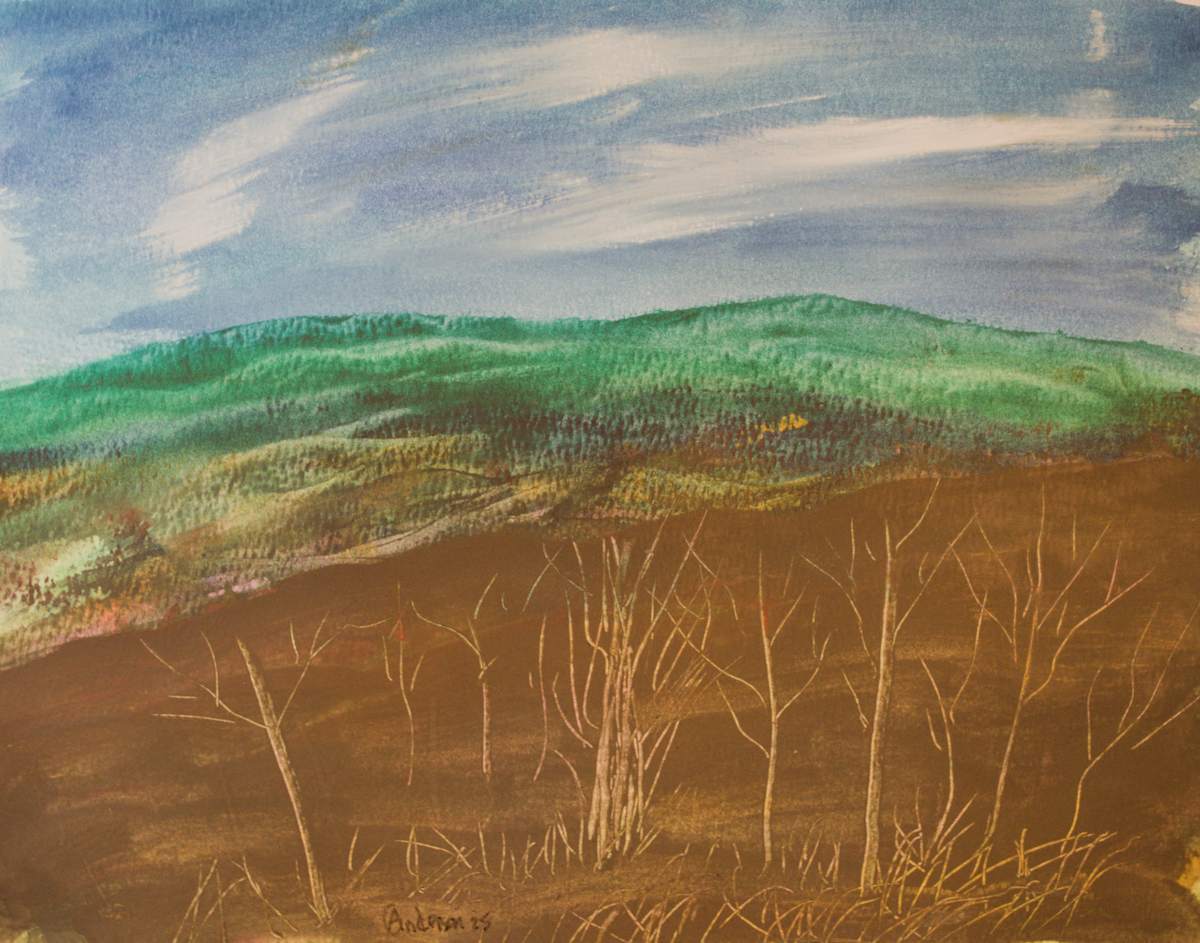 My View by Gregory Anderson 