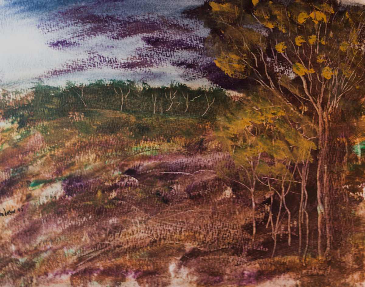 A Landscape by Gregory Anderson 