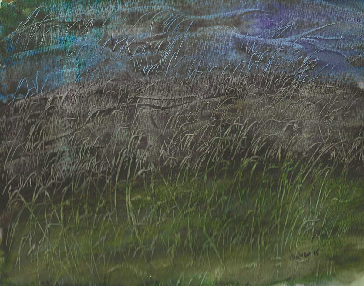 Grass Is Greener... by Gregory Anderson 