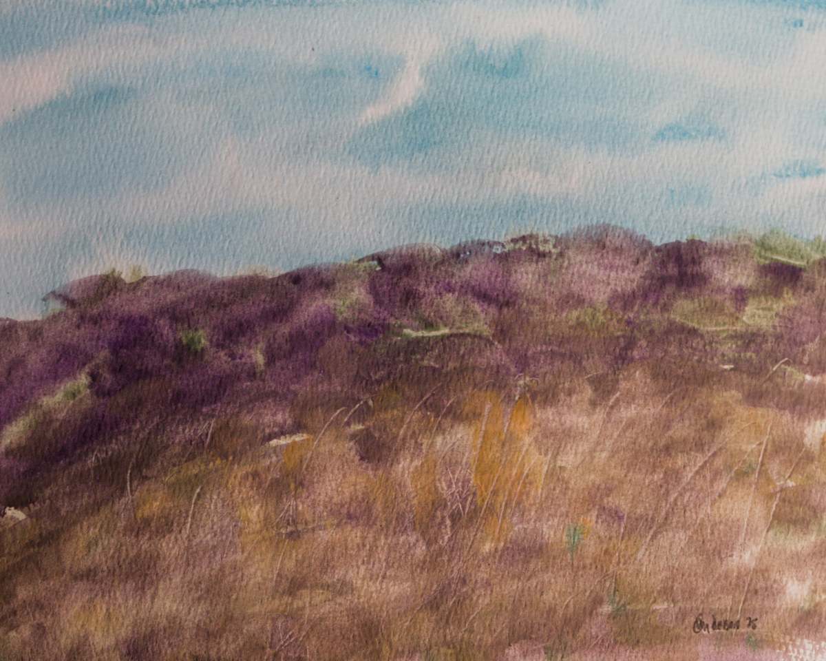 The Foothills by Gregory Anderson 