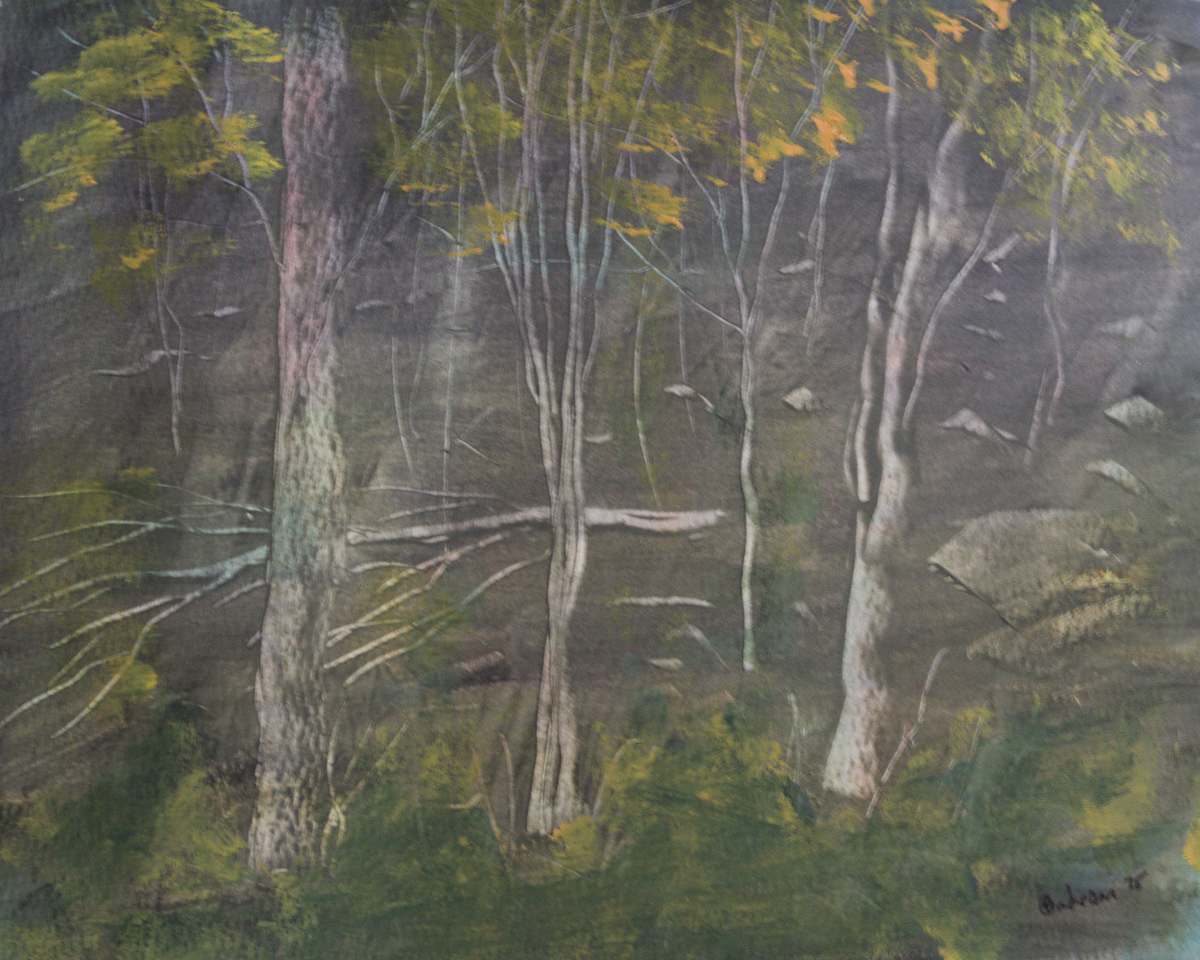 Fallen Tree by Gregory Anderson 