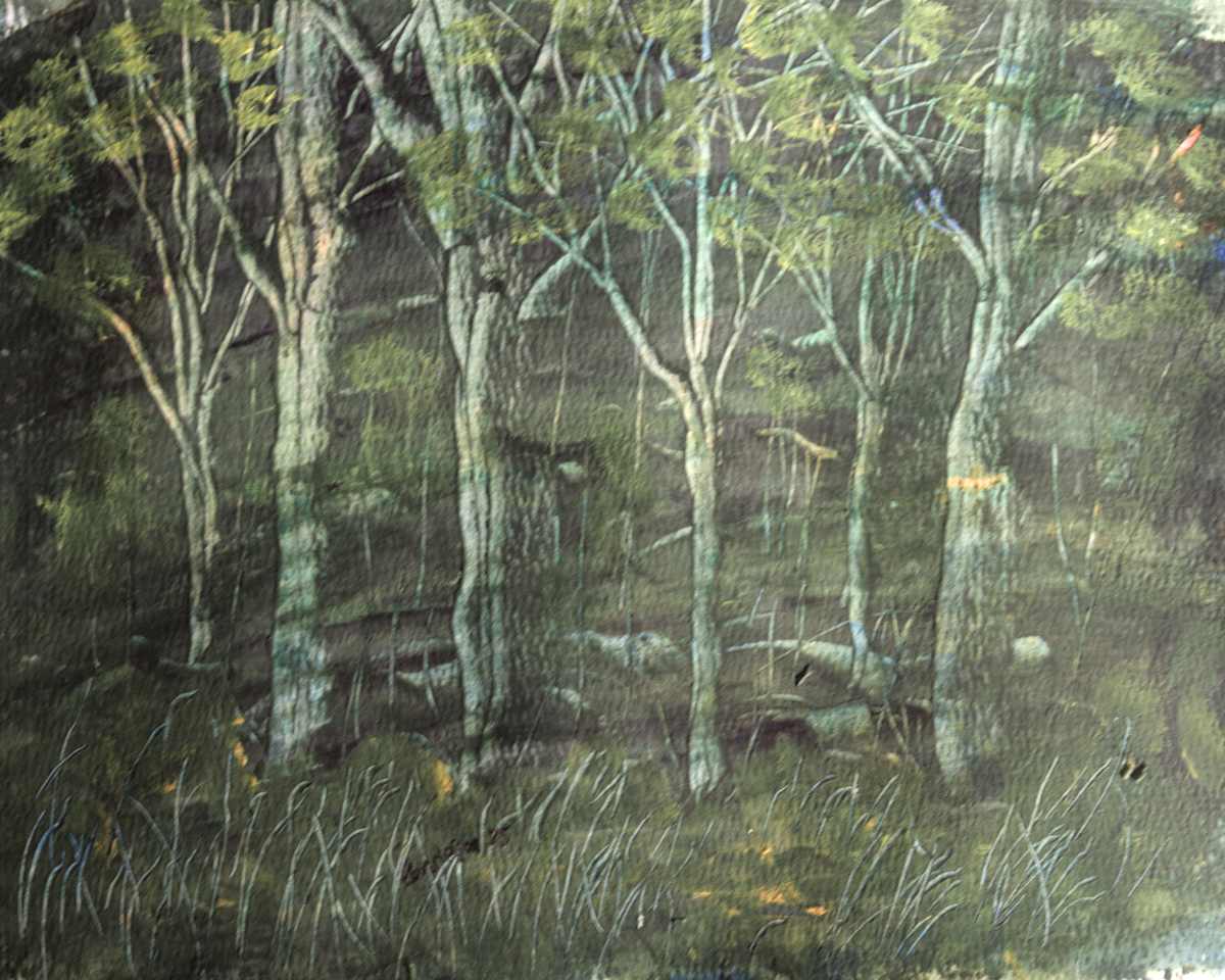 Behind The Barn by Gregory Anderson 