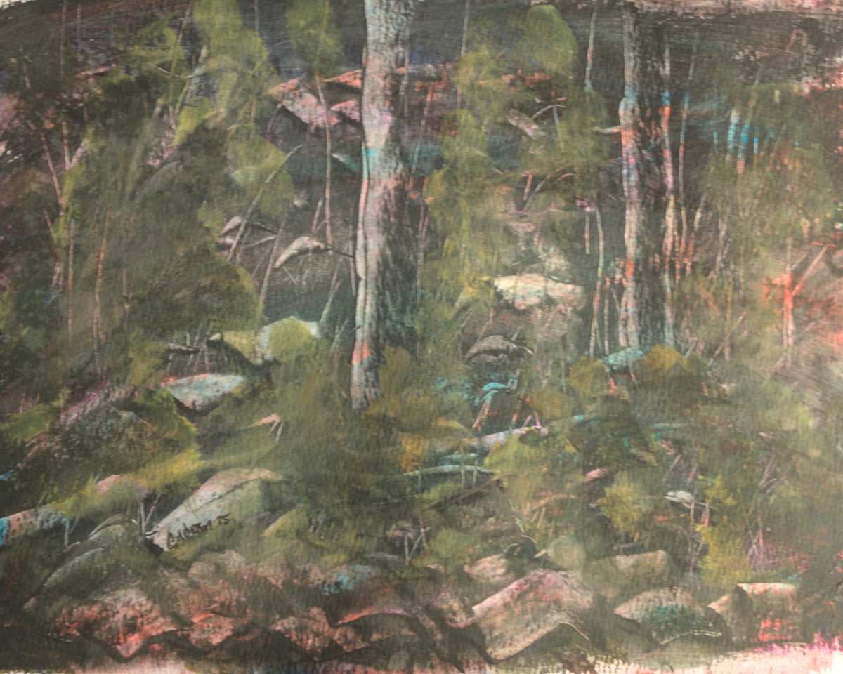 The Woods by Gregory Anderson 