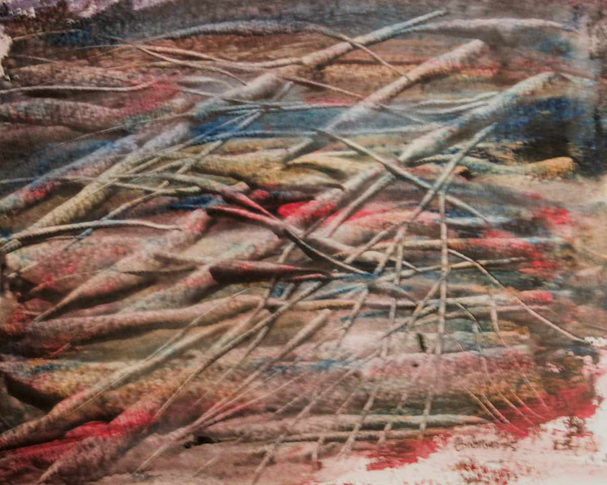 Branches by Gregory Anderson 