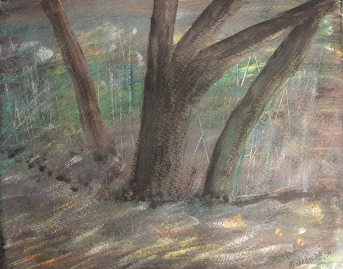 Country Trail by Gregory Anderson 