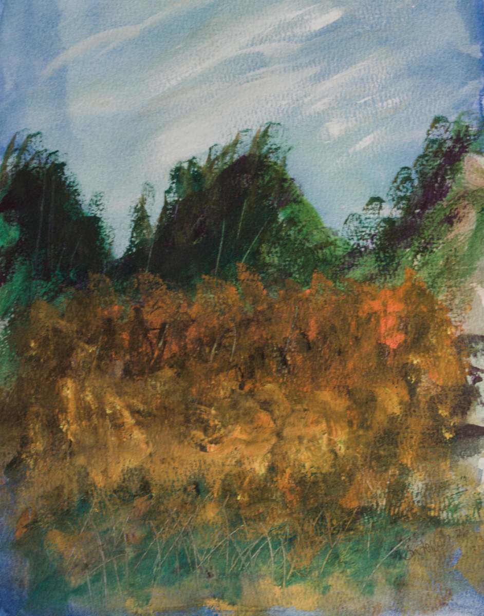 The High Country by Gregory Anderson 