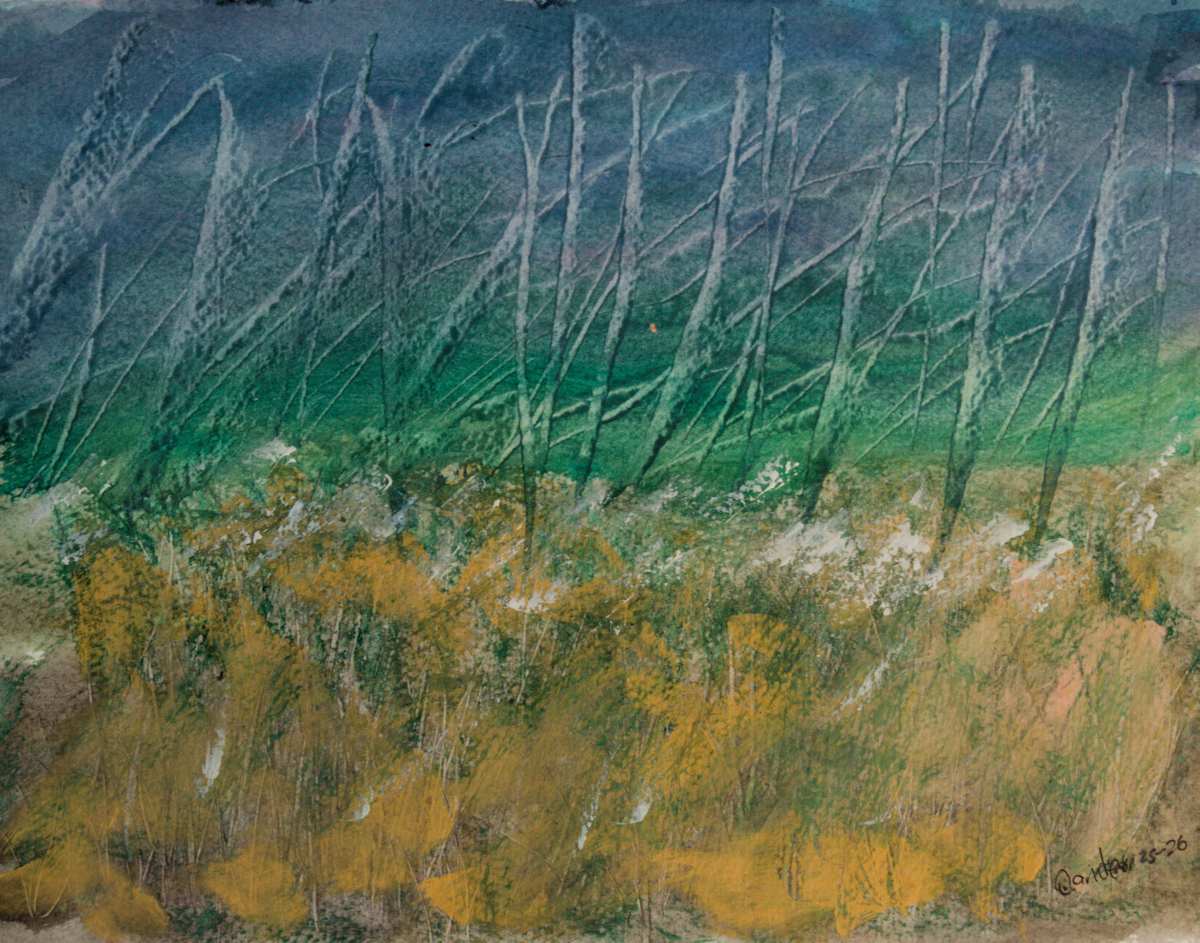 Field Grass by Gregory Anderson 