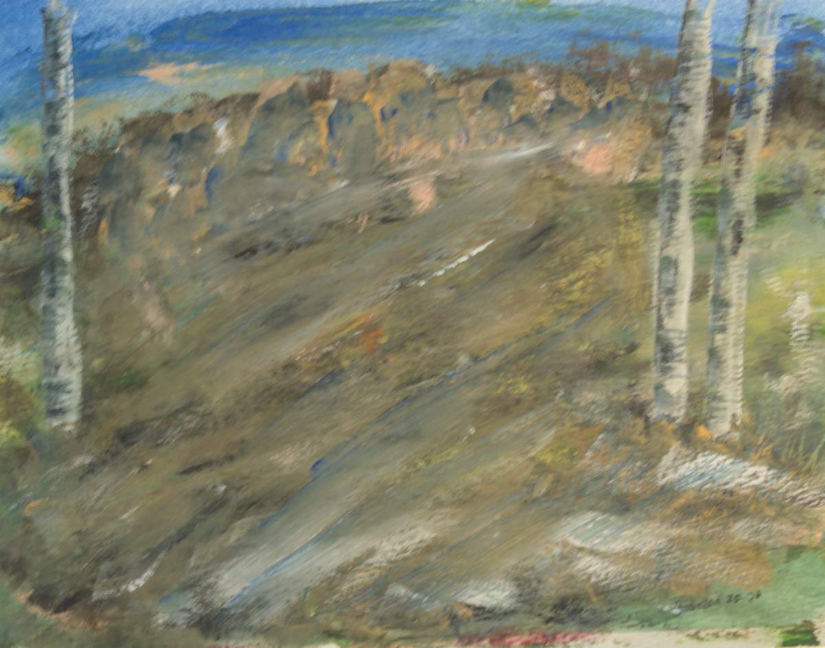 The Birches by Gregory Anderson 