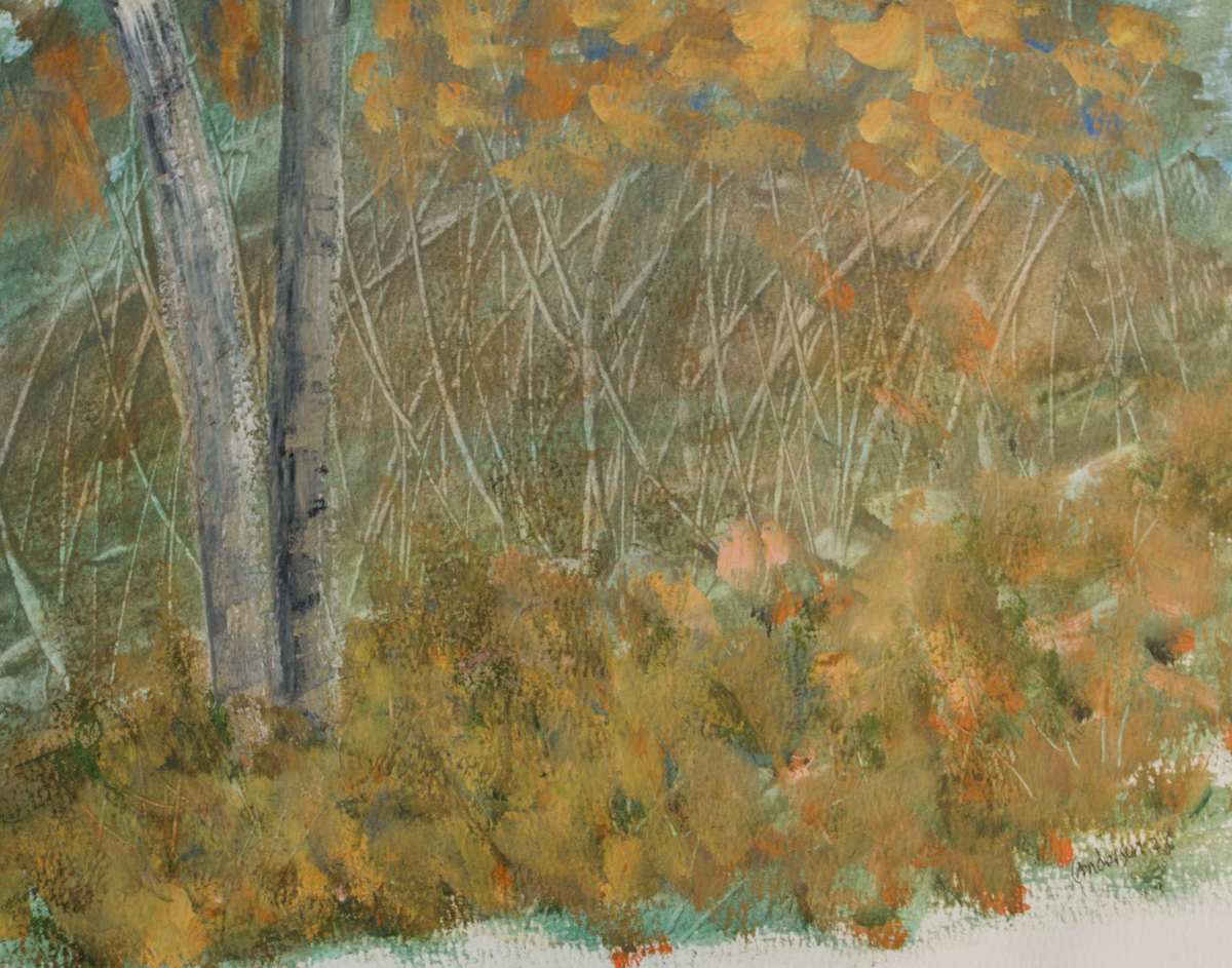 Woodchuck Holes by Gregory Anderson 