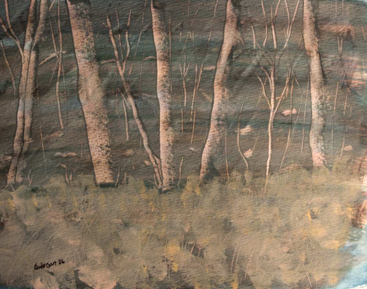 Buckfield by Gregory Anderson 