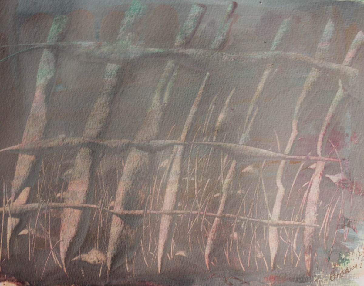 Fence by Gregory Anderson 