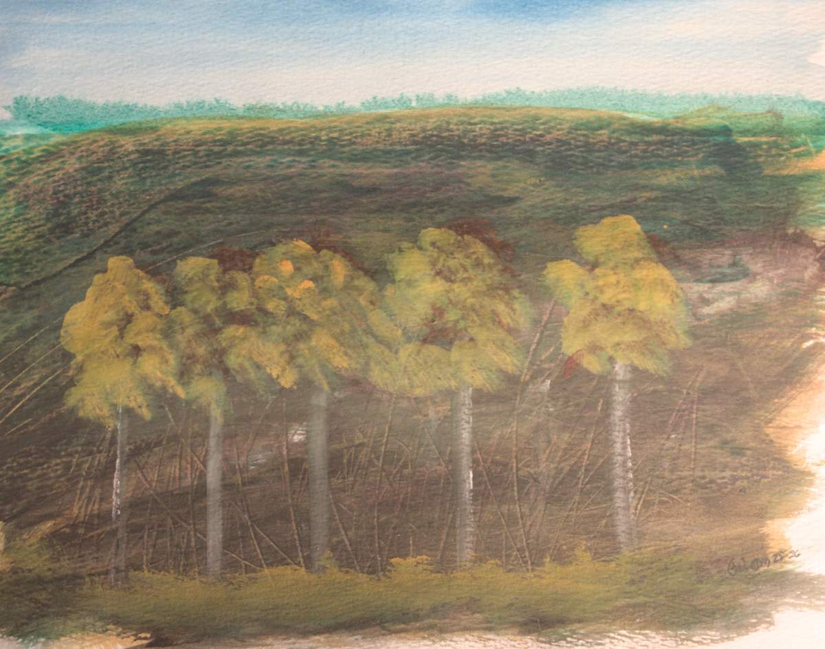 Upper Field by Gregory Anderson 