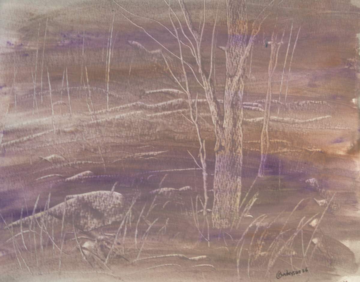 A Tree Grows by Gregory Anderson 