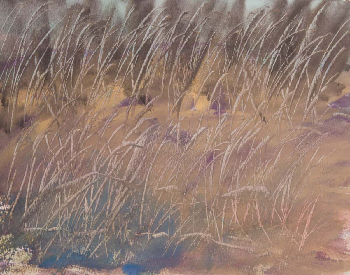 Boka by Gregory Anderson 