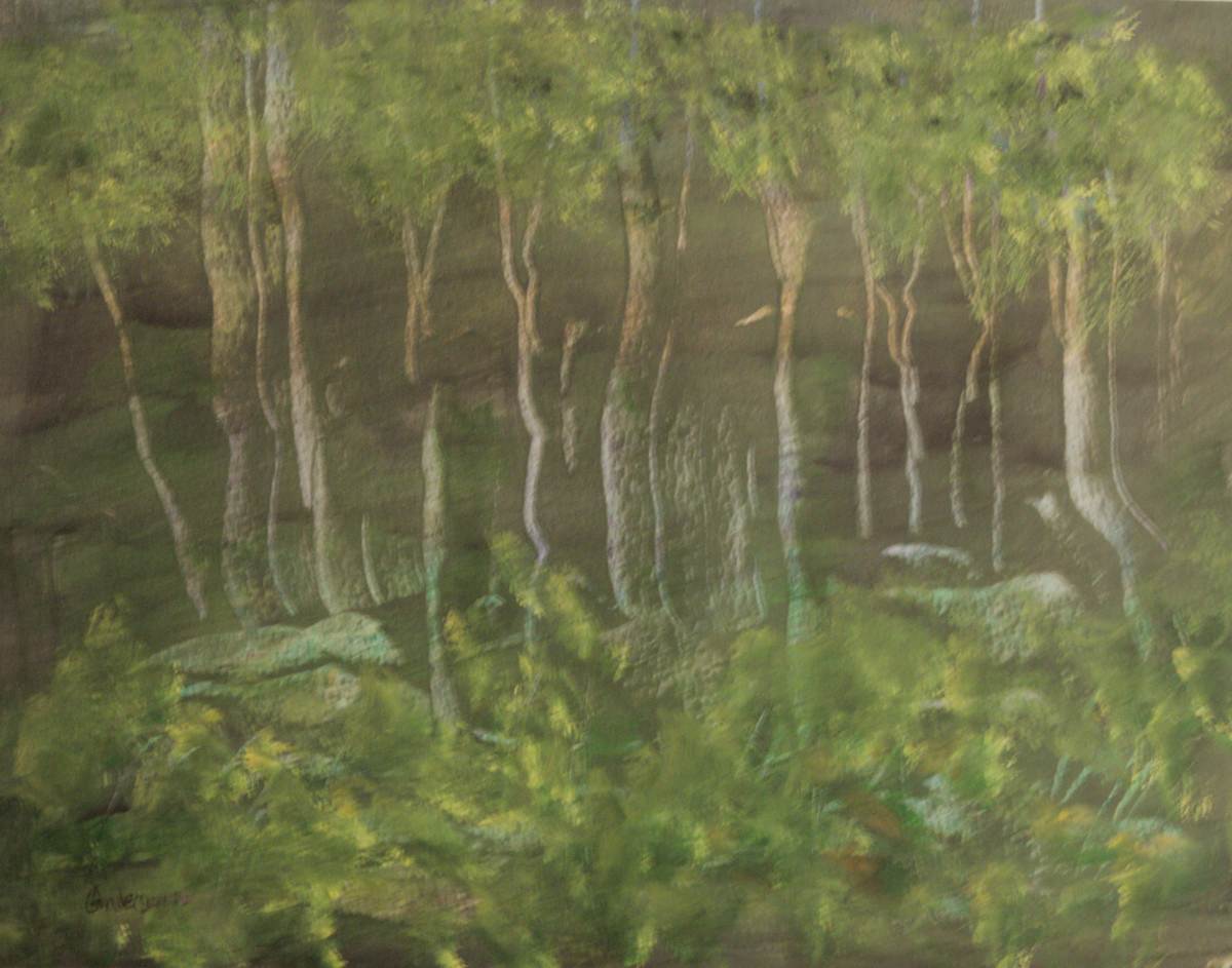 Wood's Abstraction by Gregory Anderson 