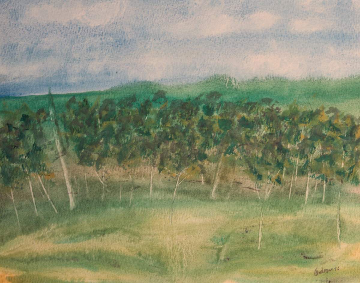 Out West by Gregory Anderson, Image 1.