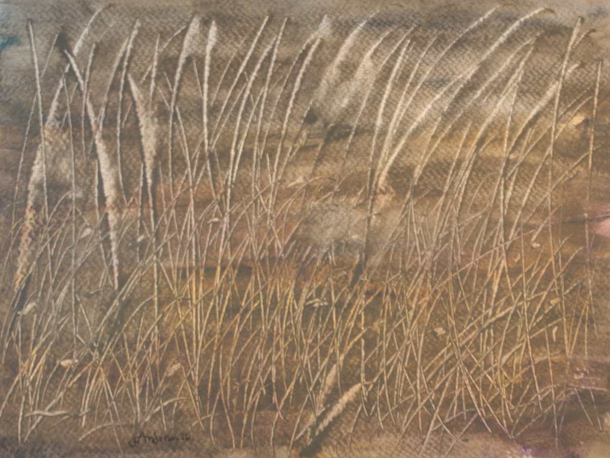 Golden Grass by Gregory Anderson, Image 1.