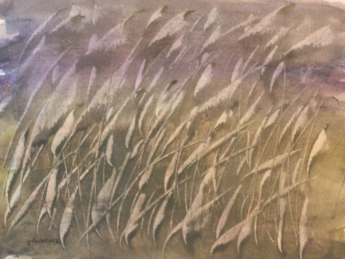 Willow by Gregory Anderson, Image 1.