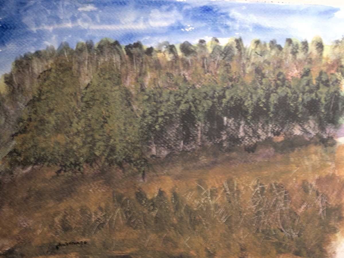 Trees Beneath Blue Sky by Gregory Anderson, Image 1.