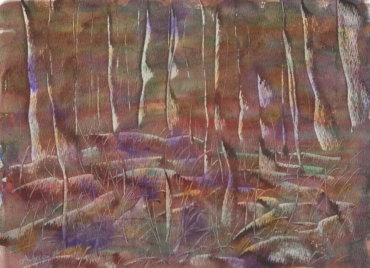 Stumps by Gregory Anderson, Image 1.