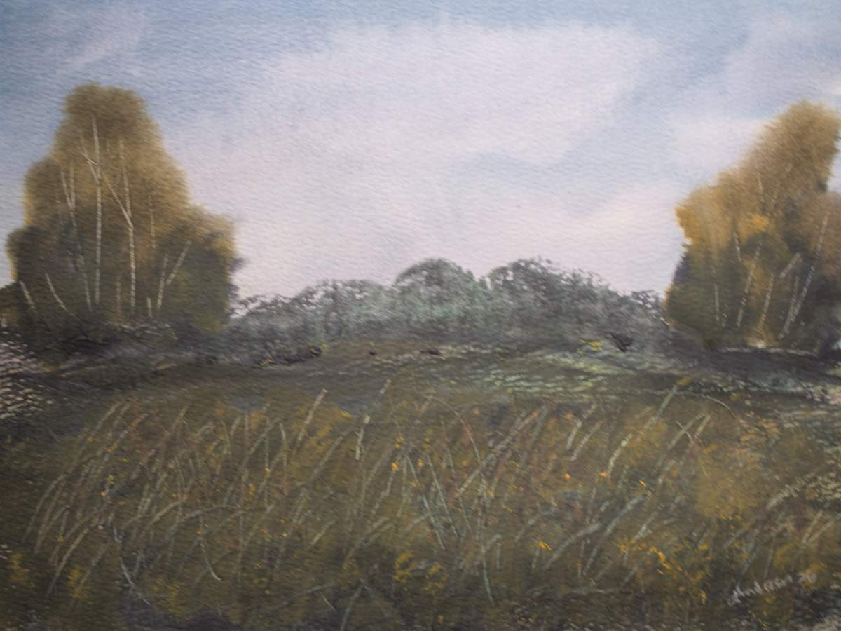 Scenic Landscape by Gregory Anderson, Image 1.