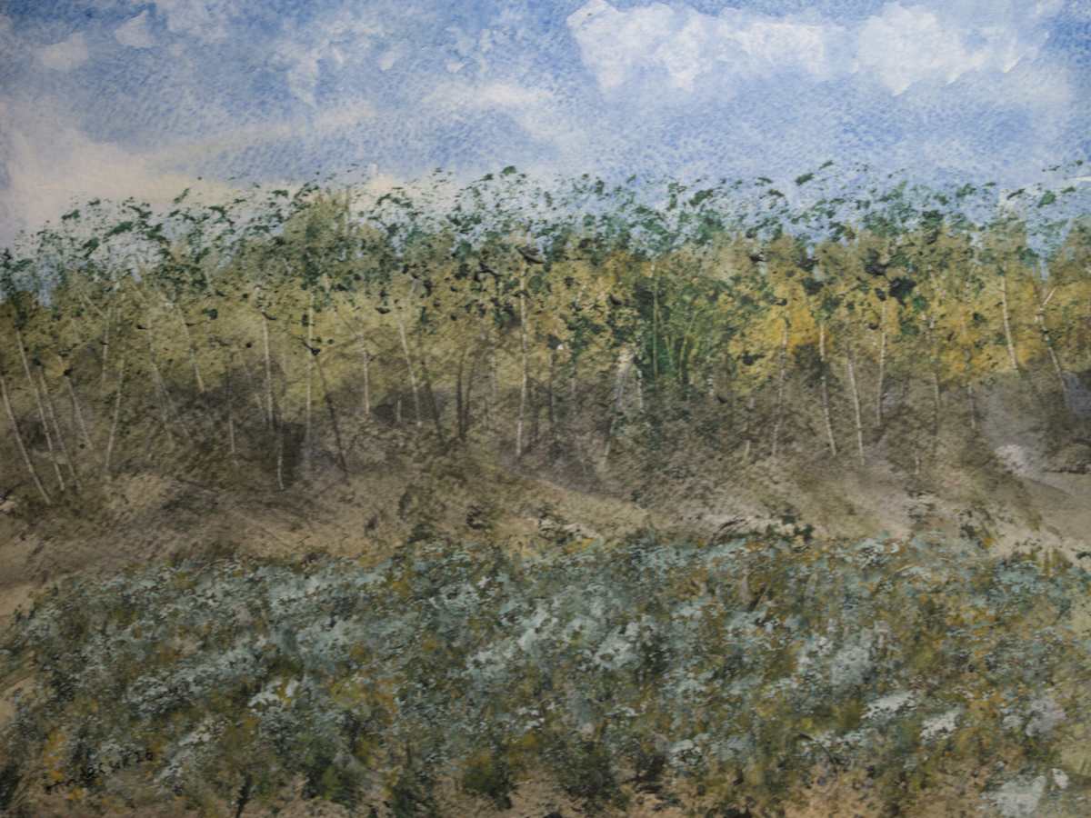 Field Beneath Blue Sky by Gregory Anderson, Image 1.