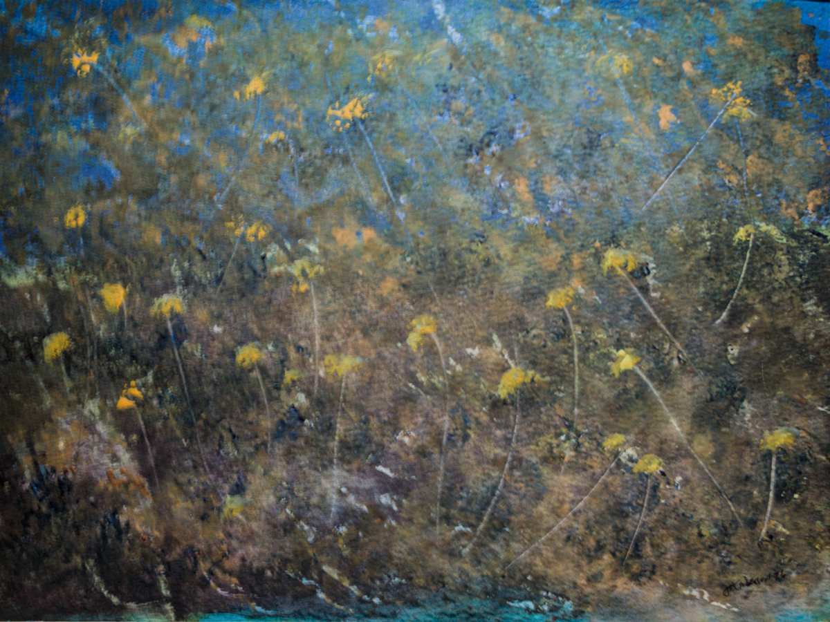 Flowery Field by Gregory Anderson, Image 1.