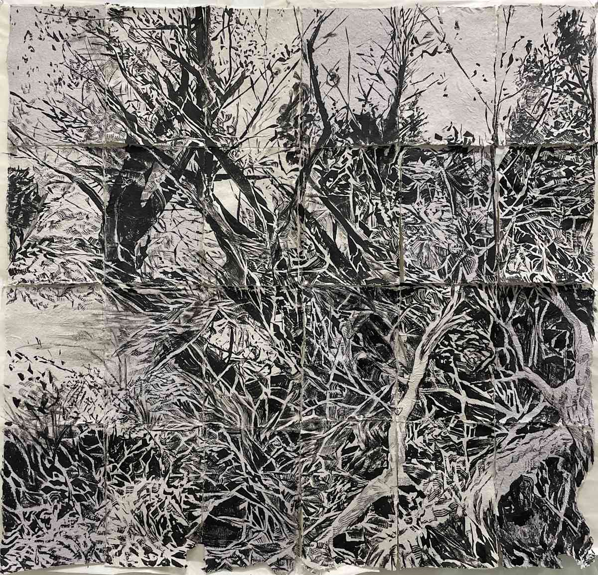 The Trees of Ucross by Hollis Hammonds 