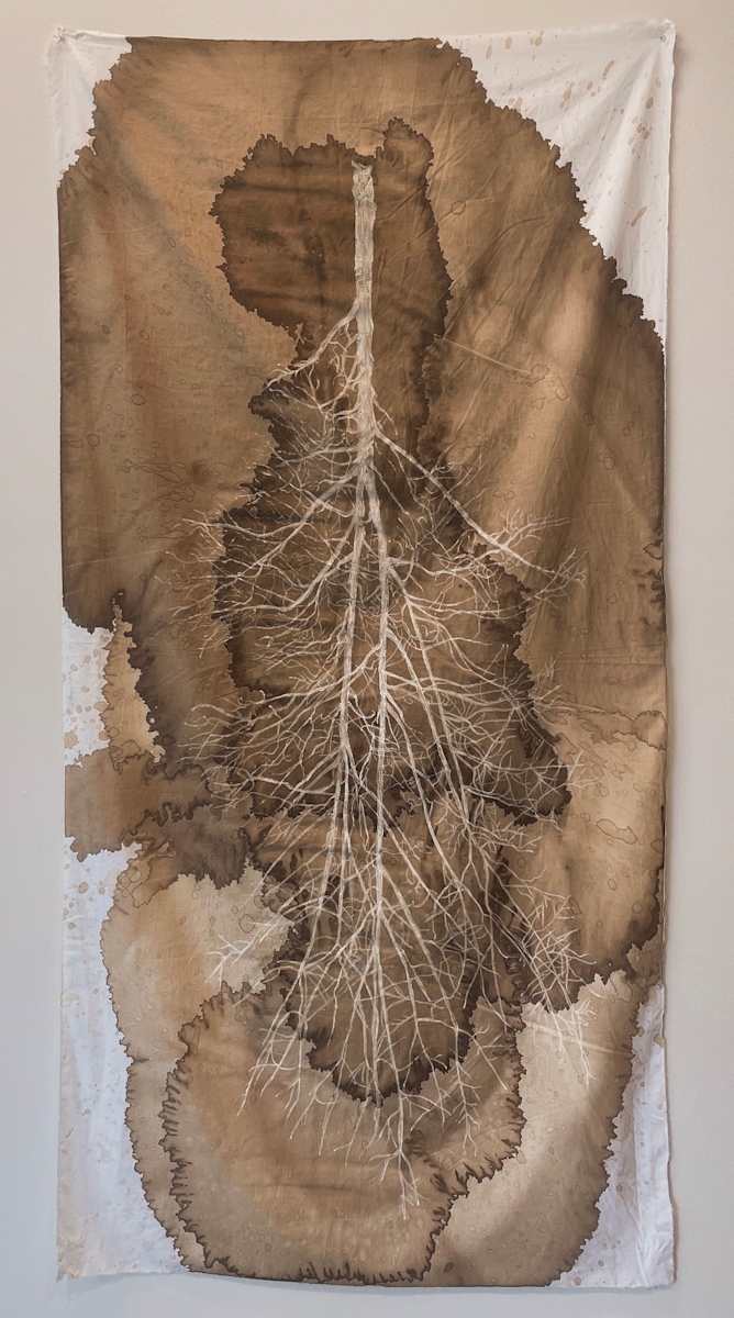 Ghost Tree by Hollis Hammonds 