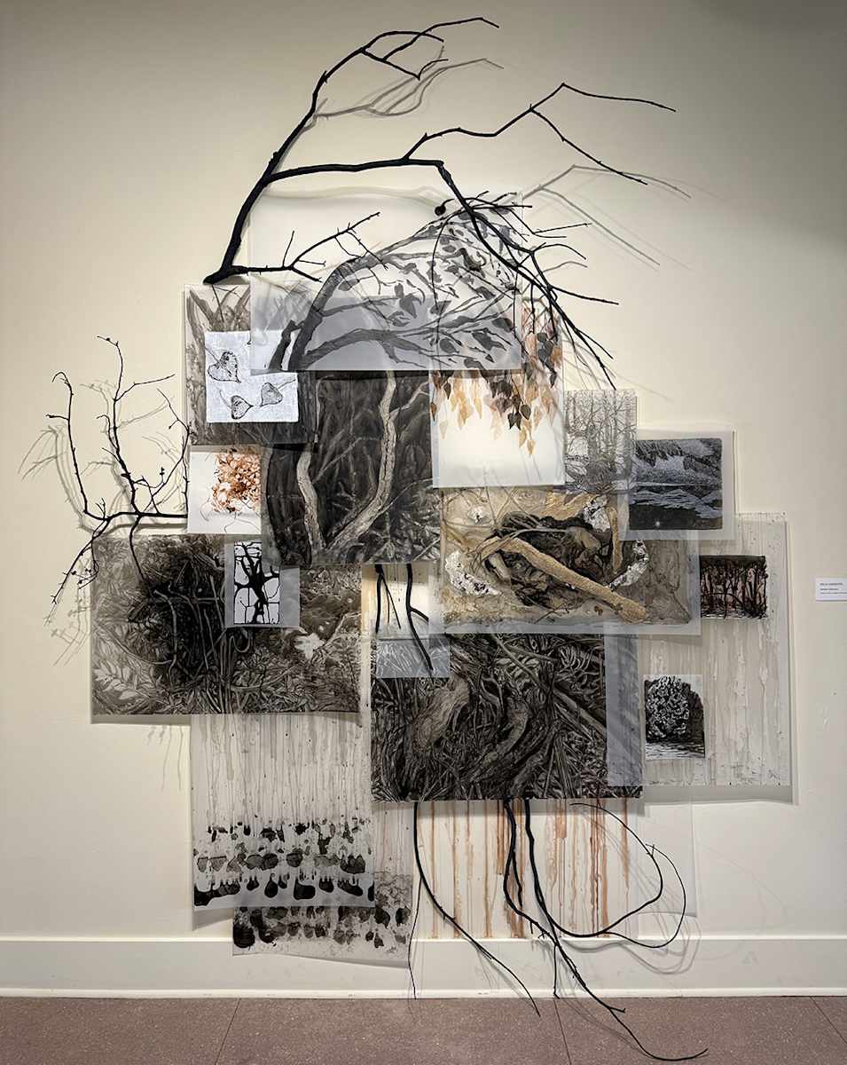 Carbon Collectors by Hollis Hammonds 