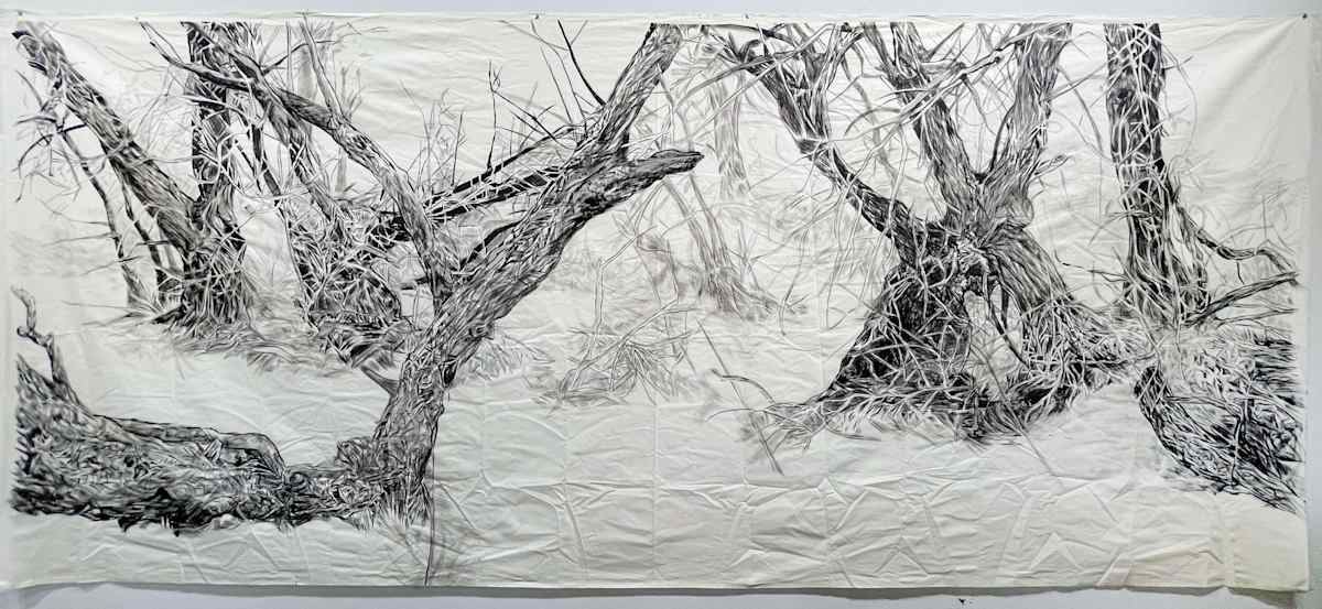 A Fragile Landscape by Hollis Hammonds 