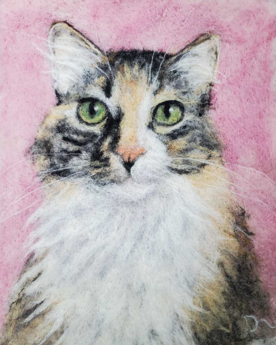 Sour Patch by Darci Lenker 