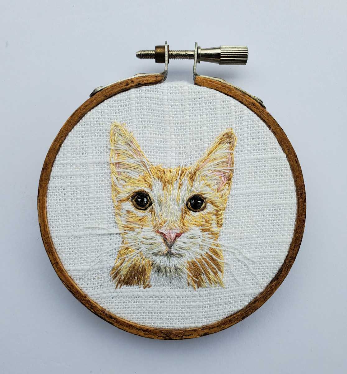 Orange Cat by Darci Lenker 