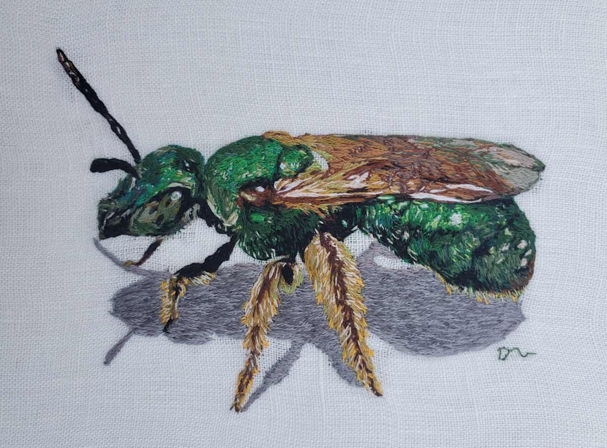 Sweat Bee by Darci Lenker, Image 1.