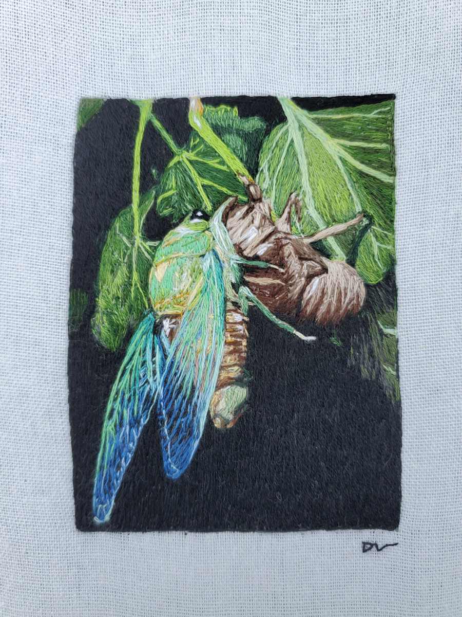 Transformation by Darci Lenker 