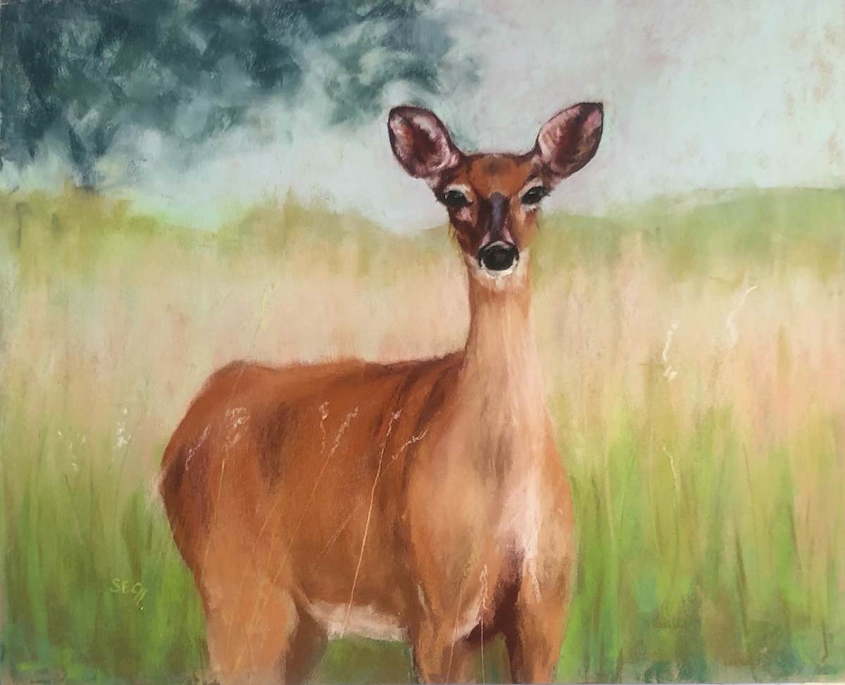 A Peaceful Encounter by Susan E Cunniff Fine Art  Image: Pastel on Pastelmat, 8"x10", in 2 1/8" wide Copper Brown frame, 11"x14", with off white acid free mat and TruVue Museum Glass.