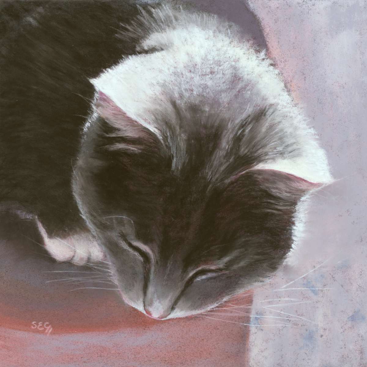 In the Pink by Susan E Cunniff Fine Art  Image: This is from a photo I took of my sweet girl cat who has since passed over the rainbow bridge. She was the sweetest little adoring and adorable girl.