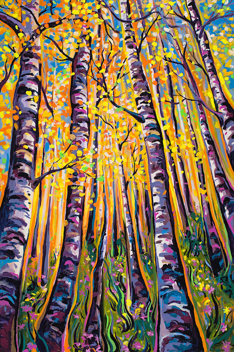 Glowing Aspens by Emily Dwan, Image 1.