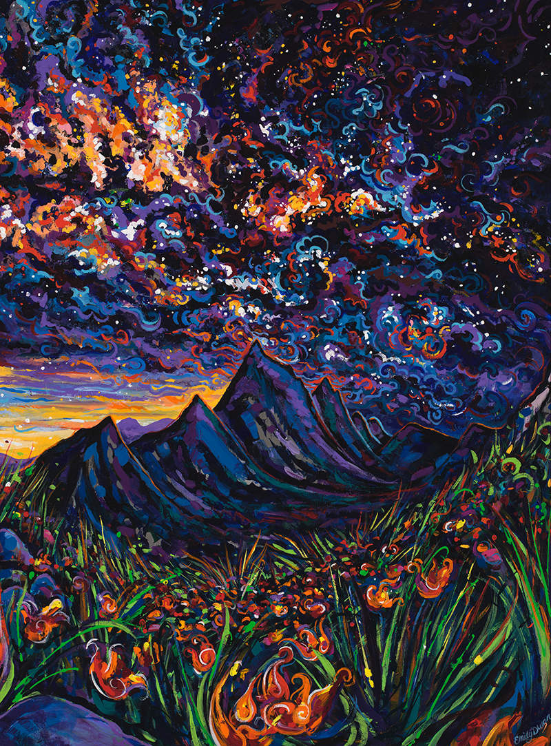 Mountain Cosmos 30X40" by Emily Dwan, Image 1.