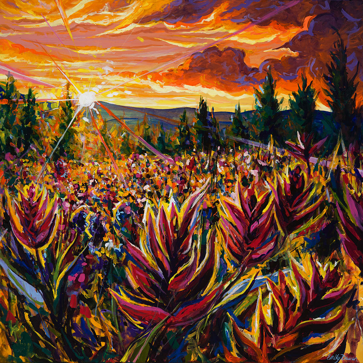 Wildflower Dance 48X48" by Emily Dwan, Image 1.